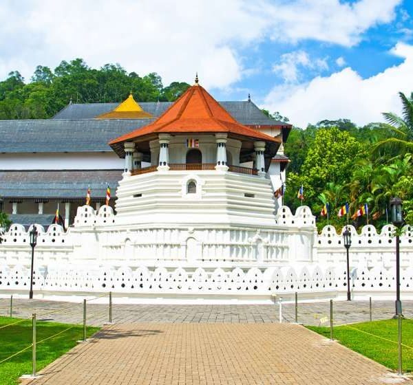 Tooth-relic-kandy