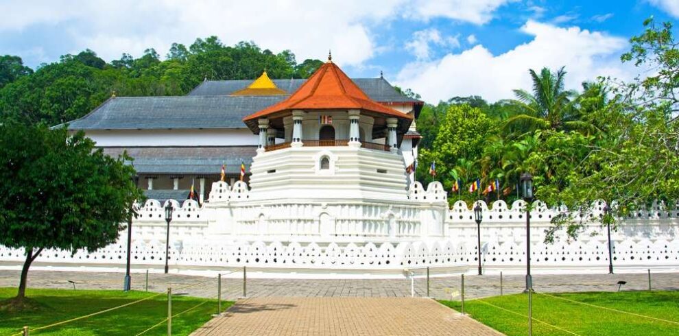 Tooth-relic-kandy