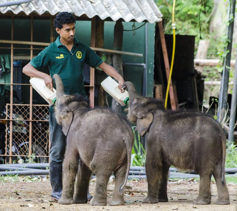 37045604913 98a3ca7410 c