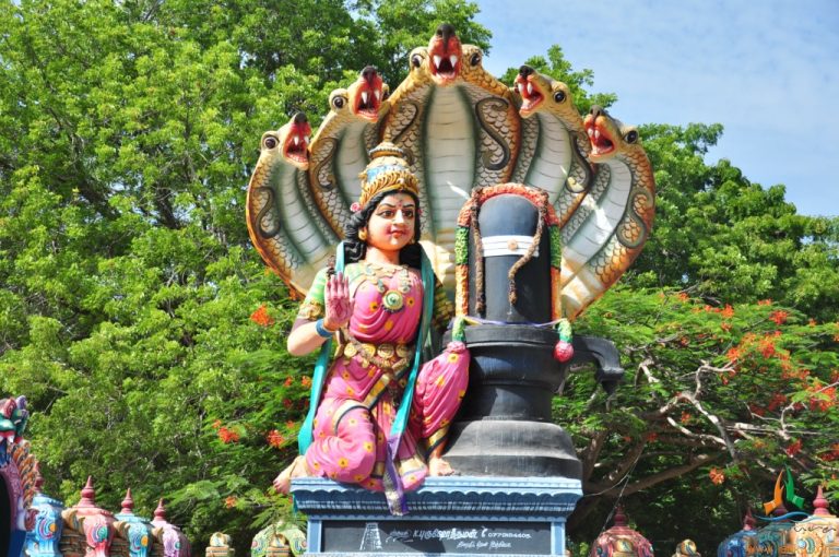 5997643426 80c333a1c7 b