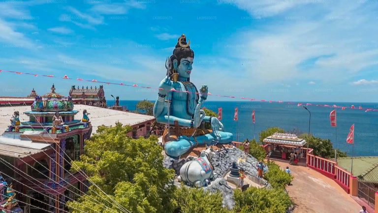 LKI9500075 01 E b9676f68 bb02 4827 ad28 9de134e5b198