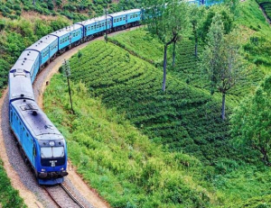 Sri Lanka Ceylon Tea 4 ce3d4bb8 de16 48a5 a676 d5d326ca17a5 train seat reservation from ella to nuwaraeliya nanuoya e1782992009702