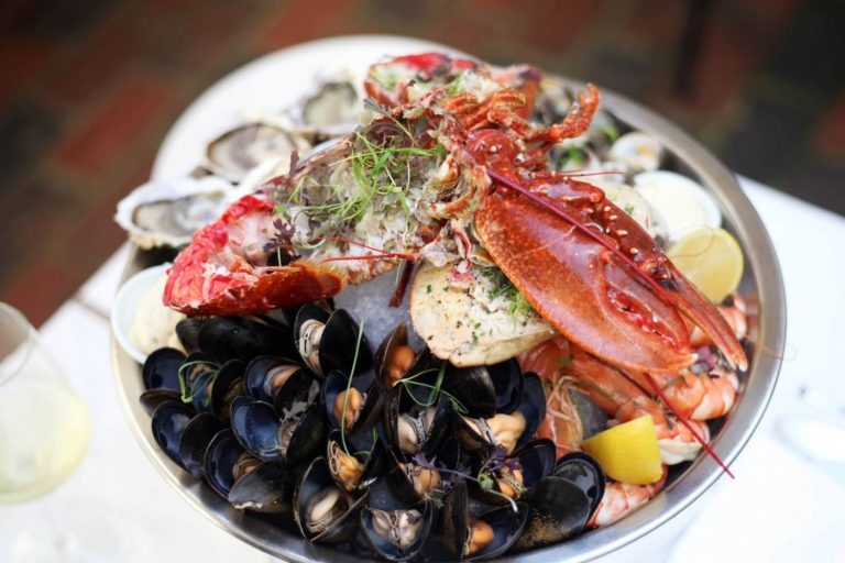 english s of brighton 699298