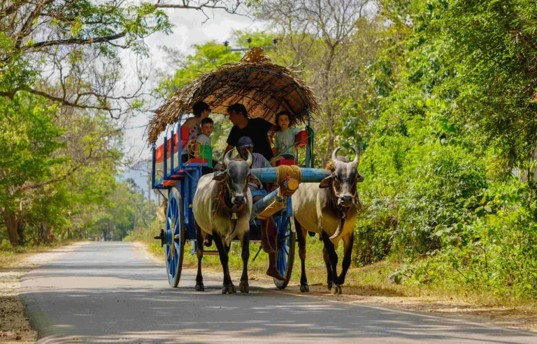 main image 3 scaled 1