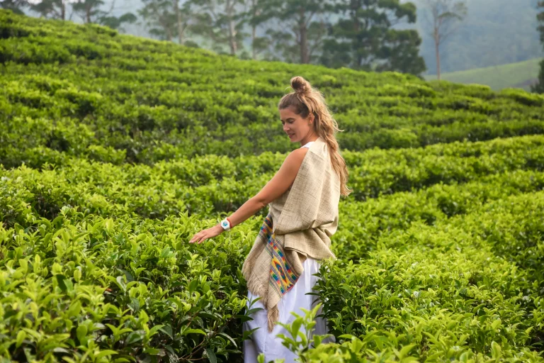 shutterstock 2340498347