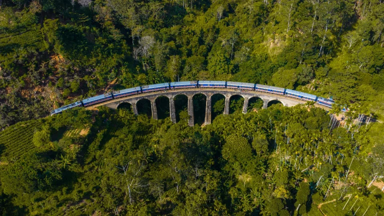 shutterstock 2502439867