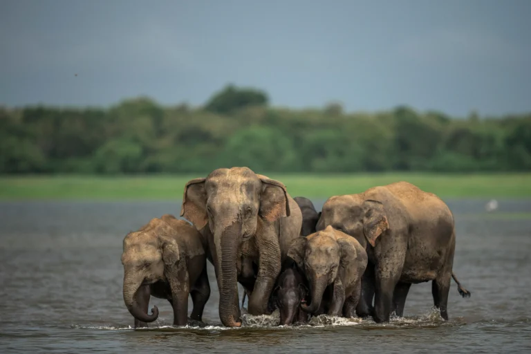 shutterstock 2507021559