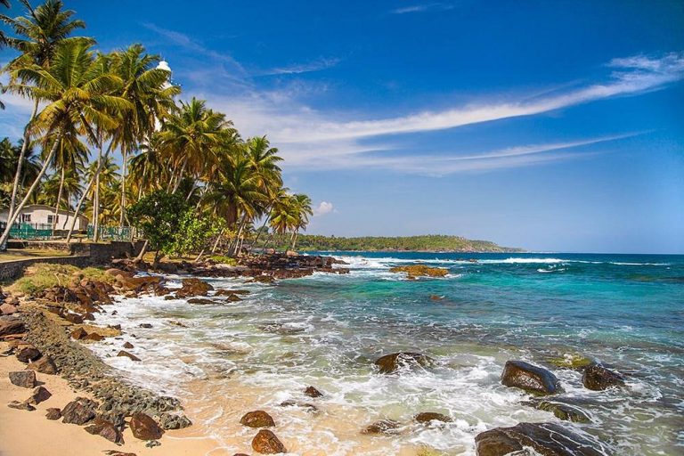 surfdiscovery sri lanka