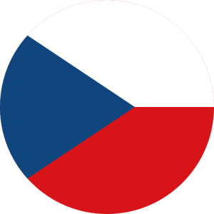 world 300x300 1
