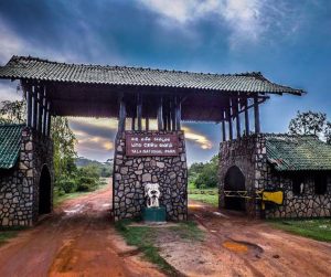 Yala Safari Tour in Sri Lanka 3 91d942847480cb7fae14fed861e106df